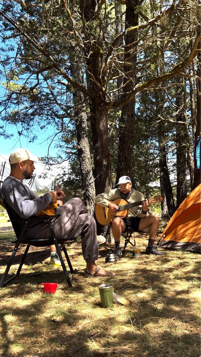 Two men playing acoustic guitars at a campsite under tall pine trees with a tent nearby