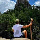 Person sitting on rocky outcrop overlooking dense forest and mountain peak, holding wooden staff, scenic landscape view